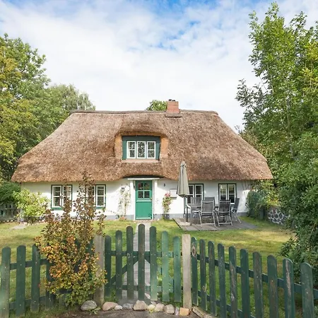 Ferien Unter Reet 別荘 Ostenfeld